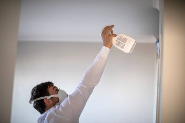 Best Certified Mold Removal  in Rimersburg, PA