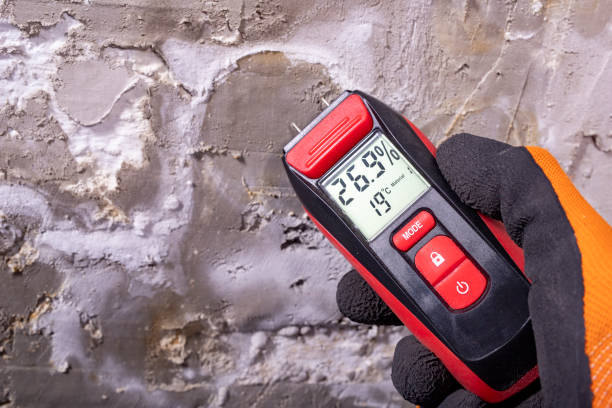 Best Attic Mold Removal  in Rimersburg, PA