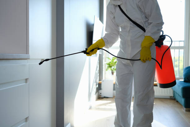 Best Office Mold Removal Services  in Rimersburg, PA